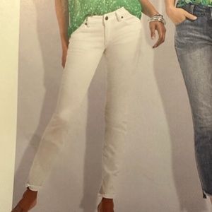 CAbi The Skinny 6073